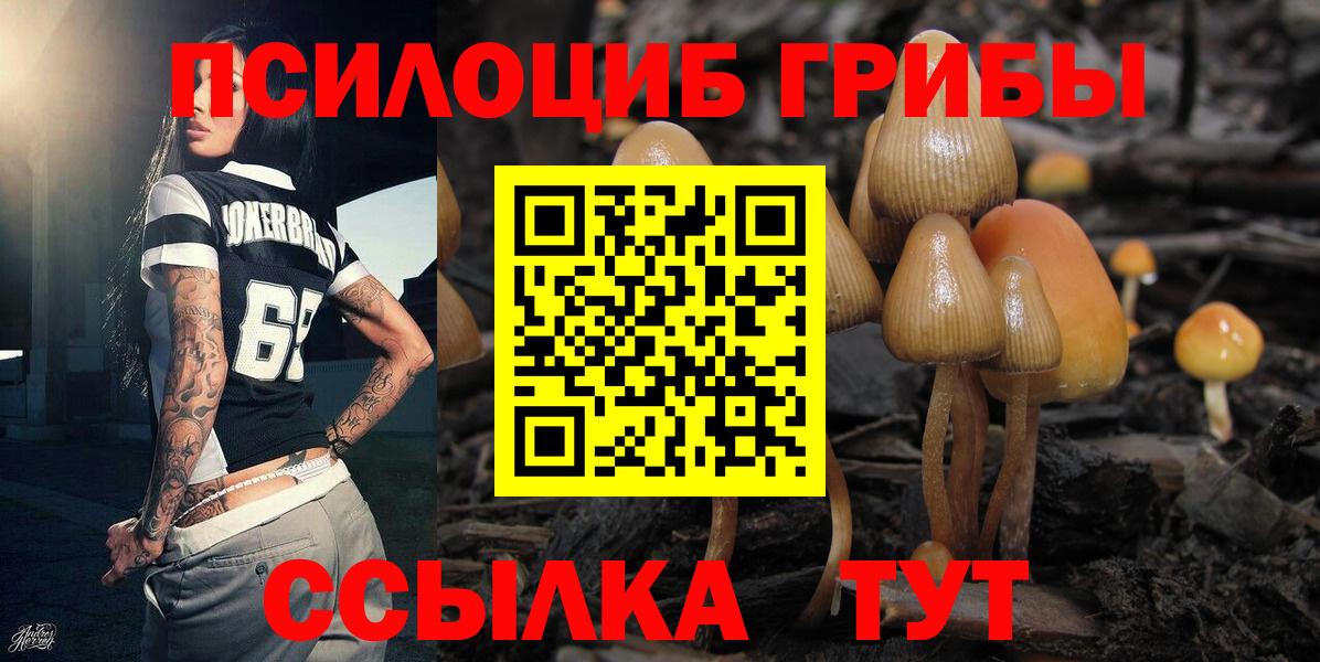 Топки  Псилоцибиновые грибы мухоморы  где найти наркотики  Вход с VPN  Псилоцибиновые грибы мицелий 