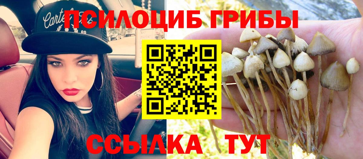 Псилоцибиновые грибы Magic Shrooms Топки